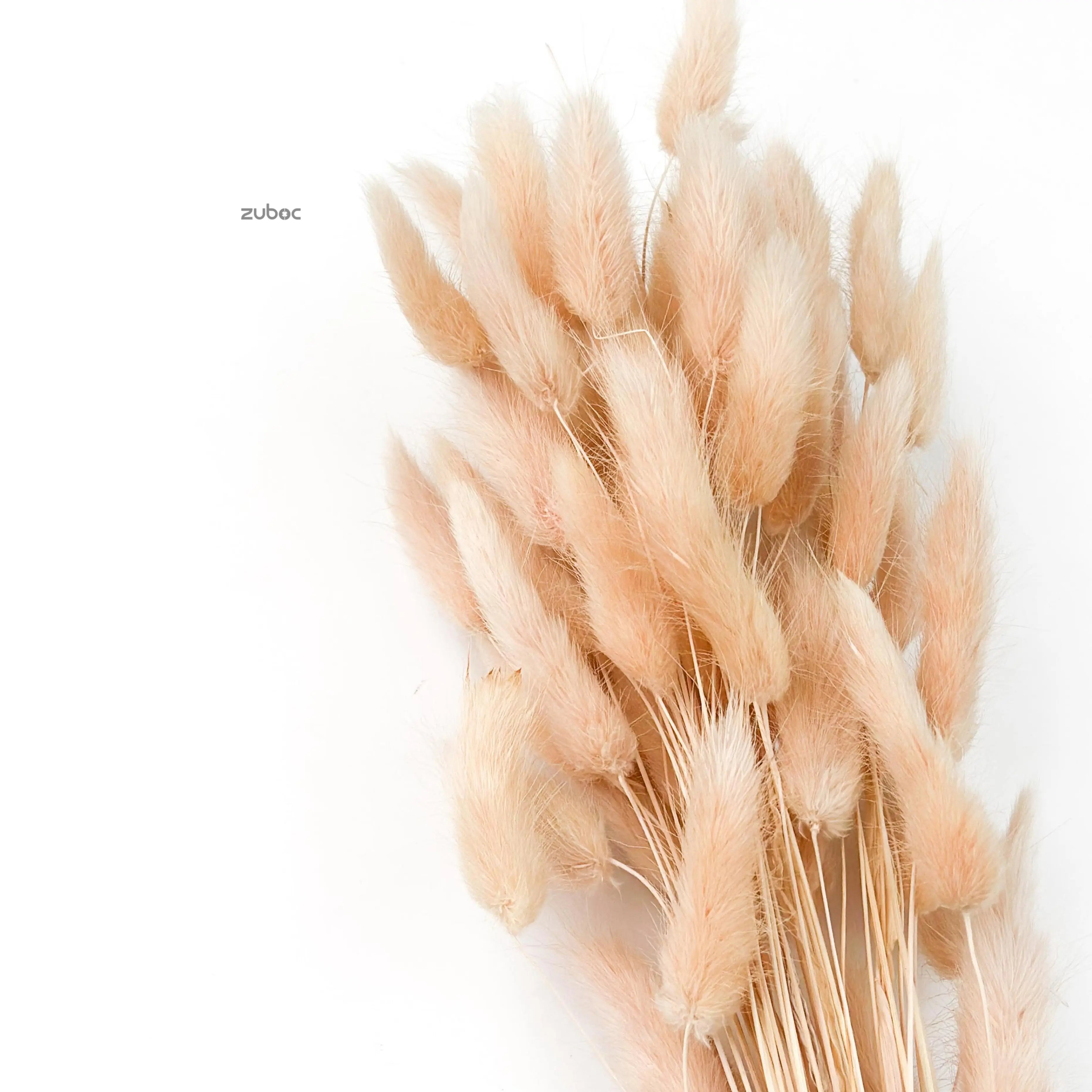 Mauve dry flower Short for gift wrapping and decorative arrangements