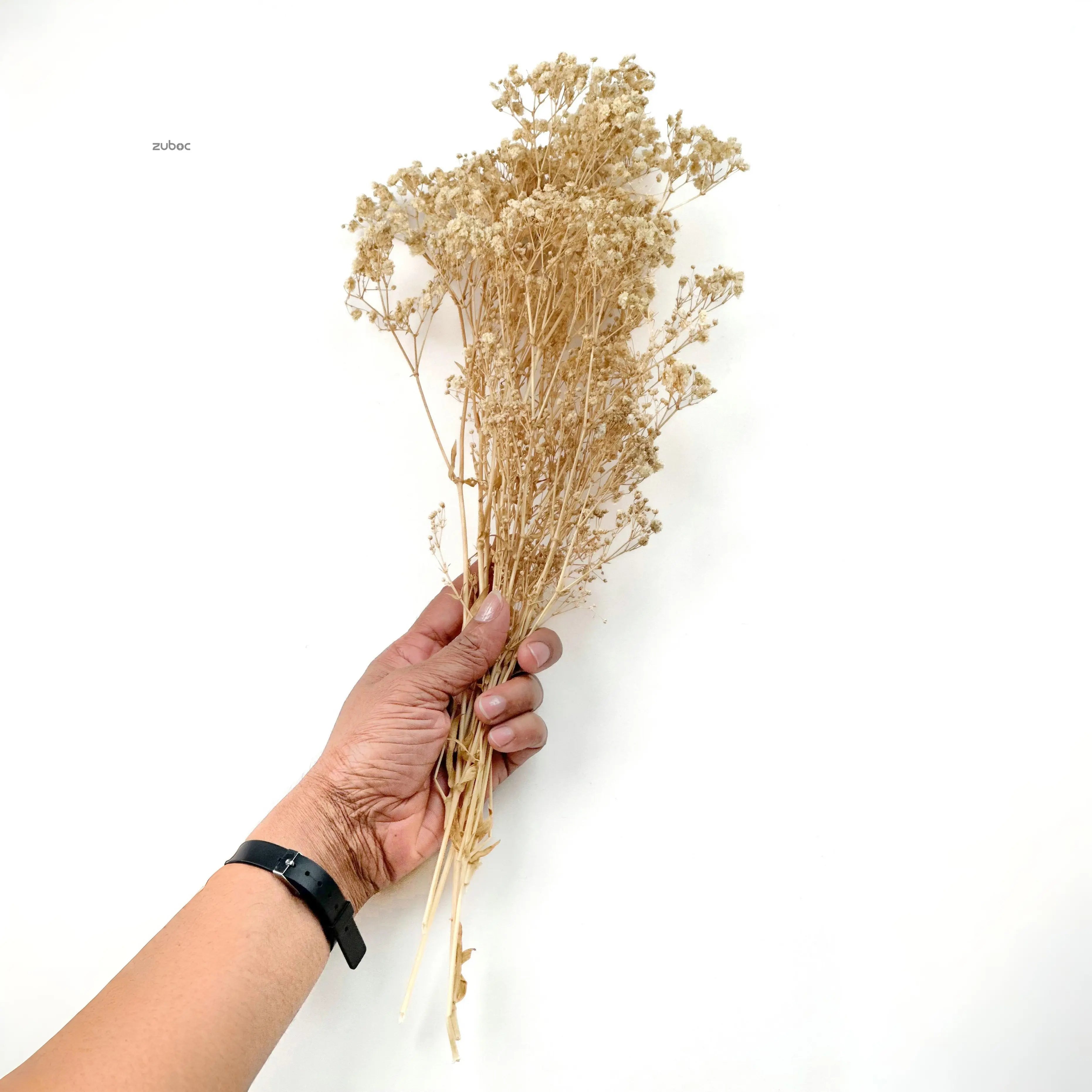 Natural beige dry flower short lifestyle shot for creative hobbies