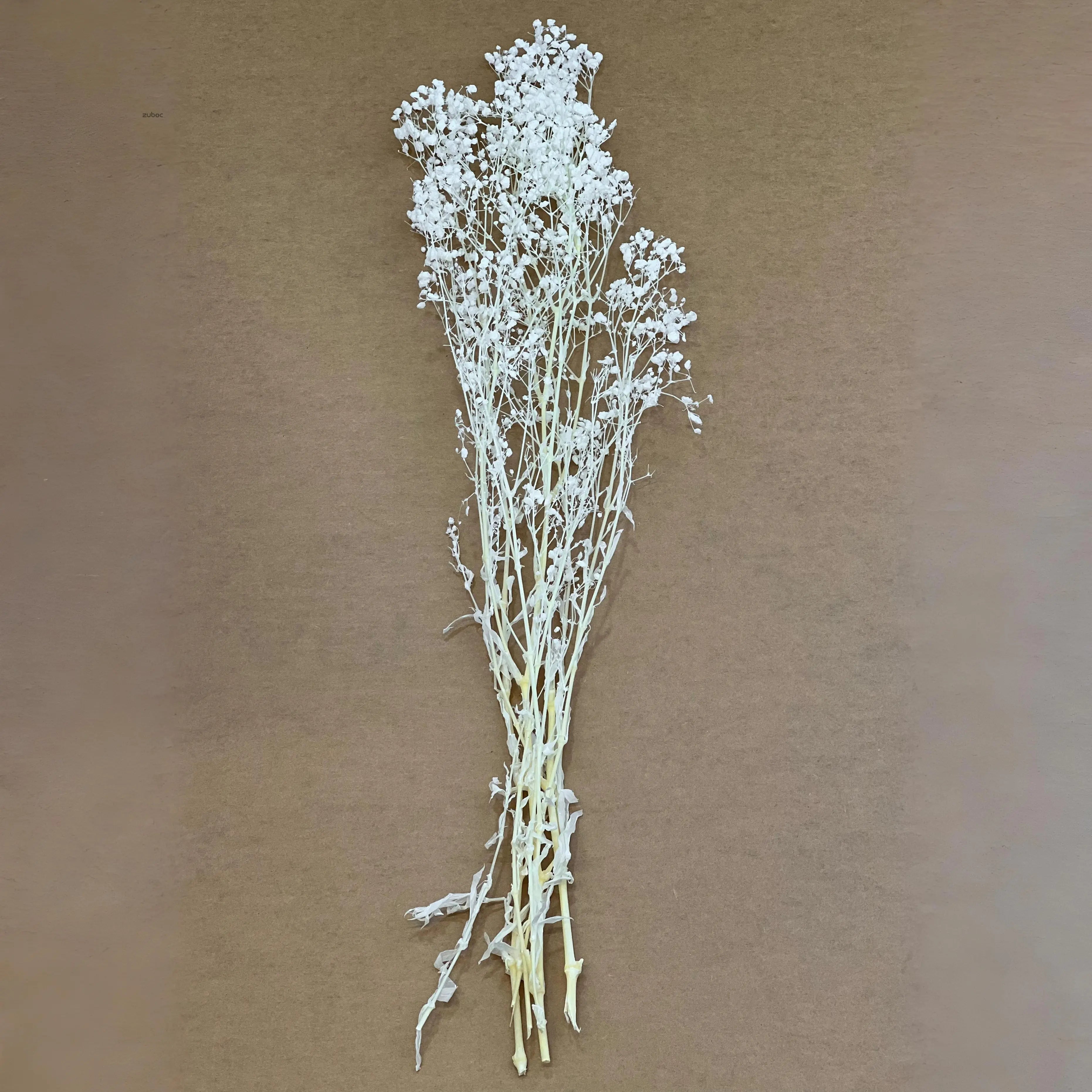 White dry flower short top-down view for wedding crafts