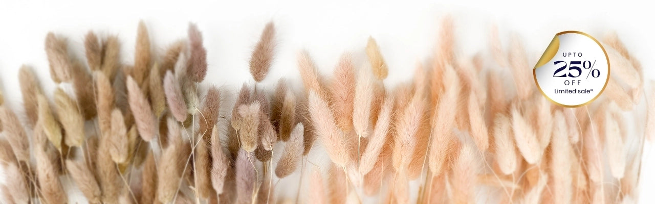 Zuboc Dry Flower