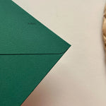 STD  Envelope (Set of 5)