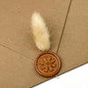 Bunny Tail Dry Flowers Mini (Set of 10)