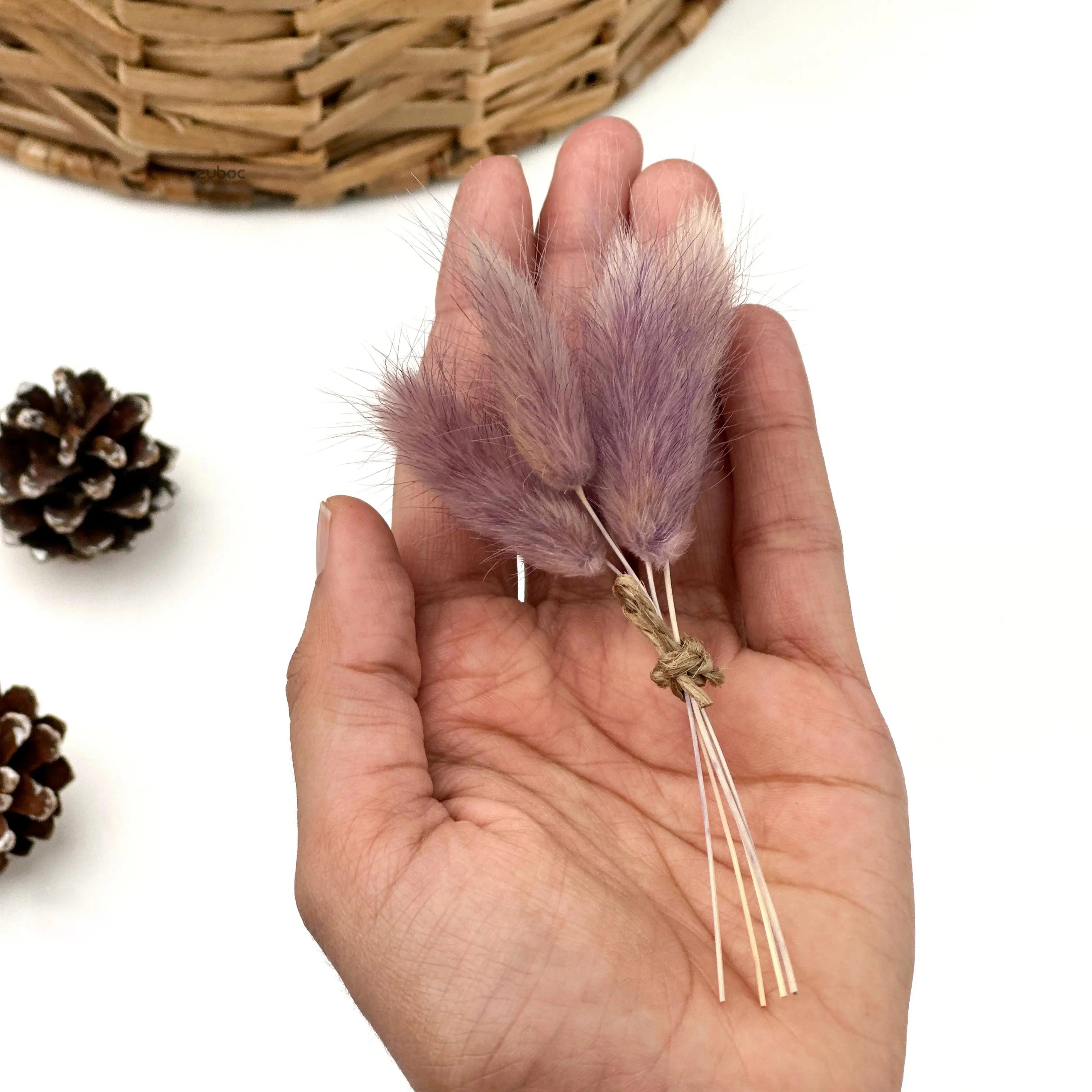 Mauve dry flower short for elegant gift wrapping