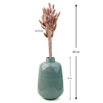 Bunny Tail Dry Flowers For Home Decor