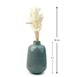 Bunny Tail Dry Flowers For Home Decor