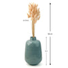 Bunny Tail Dry Flowers For Home Decor