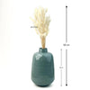 Bunny Tail Dry Flowers For Home Decor