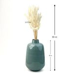Bunny Tail Dry Flowers For Home Decor