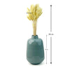 Bunny Tail Dry Flowers For Home Decor