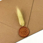 Bunny Tail Dry Flowers Mini (Set of 10)