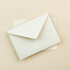 STD  Envelope (Set of 5)