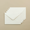STD  Envelope (Set of 5)