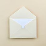STD  Envelope (Set of 5)