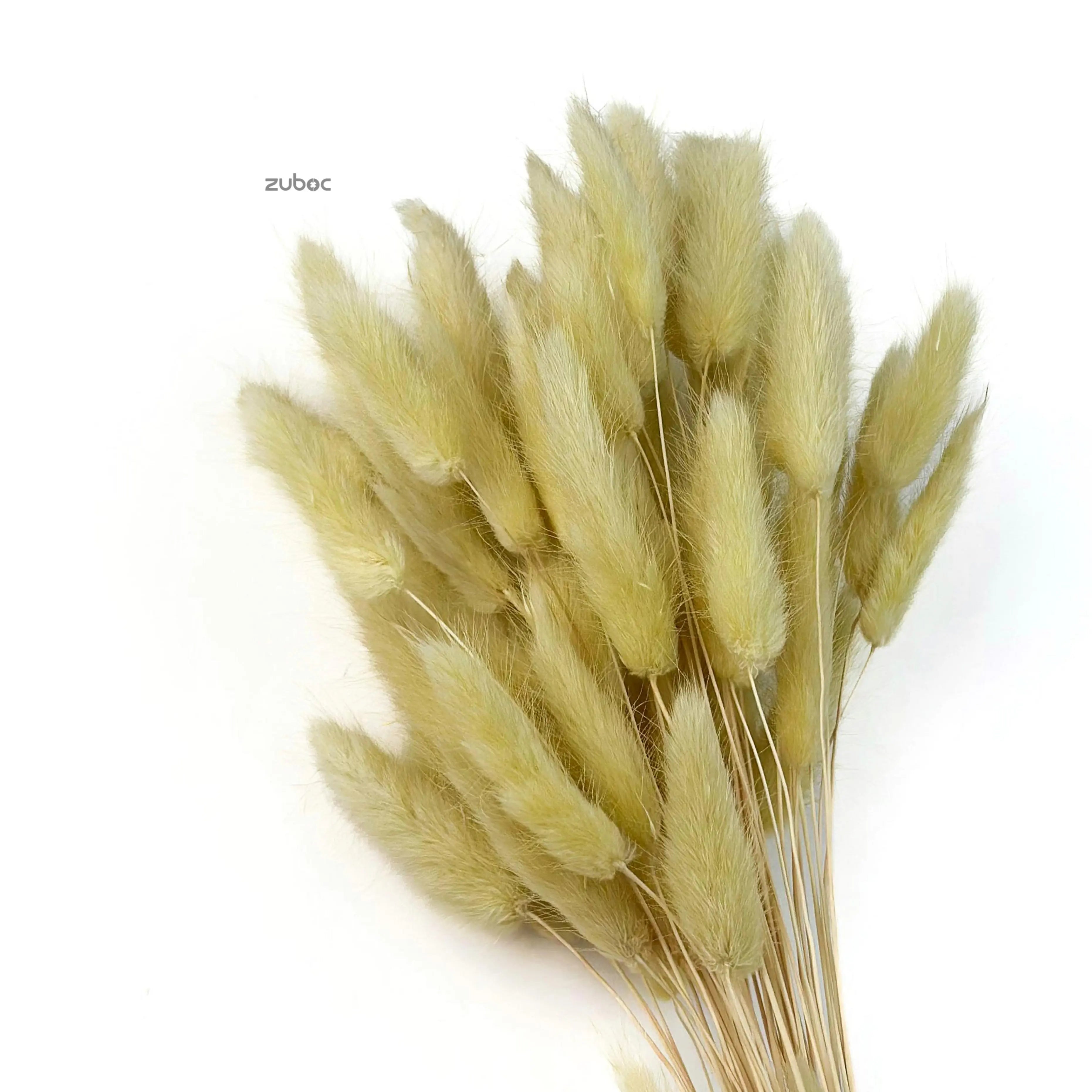 Mauve dry flower bulk for elegant gift wrapping and floral arrangements