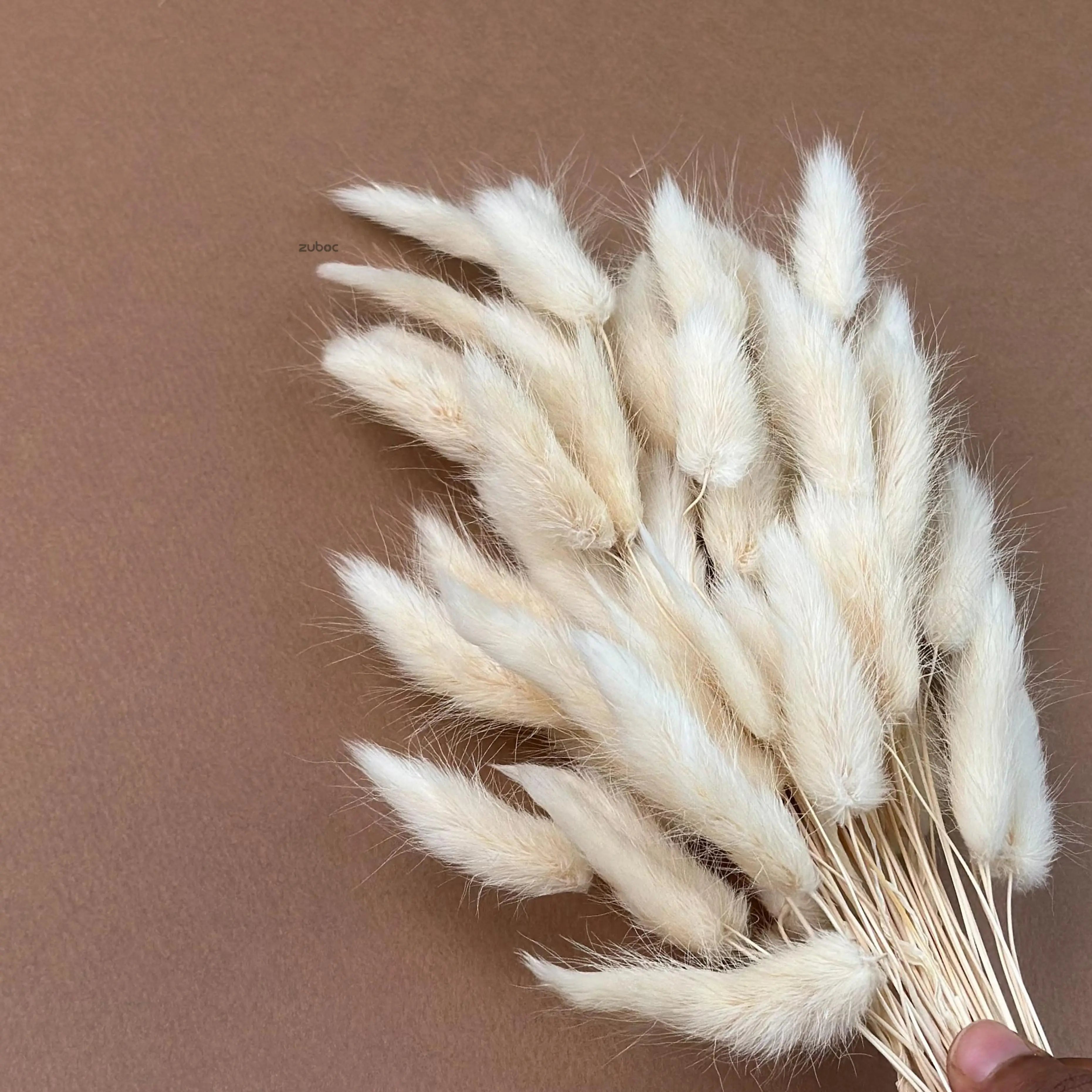 Mauve dry flower Short for decorative arrangements and gift wrapping