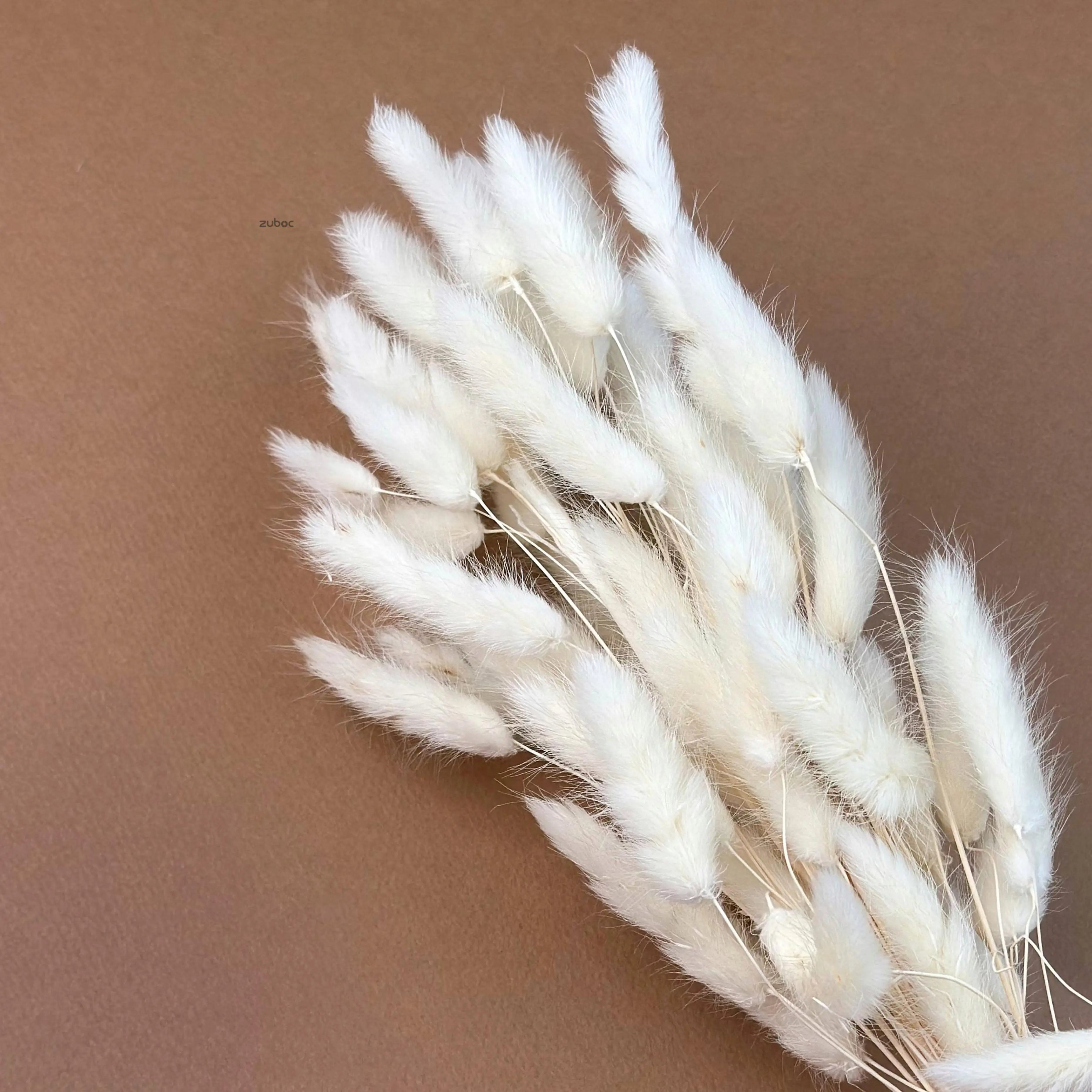 Mauve Bunny Tail Dry Flowers Short for gift wrapping and decorative arrangements