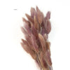 Bunny Tail Dry Flowers For Home Decor