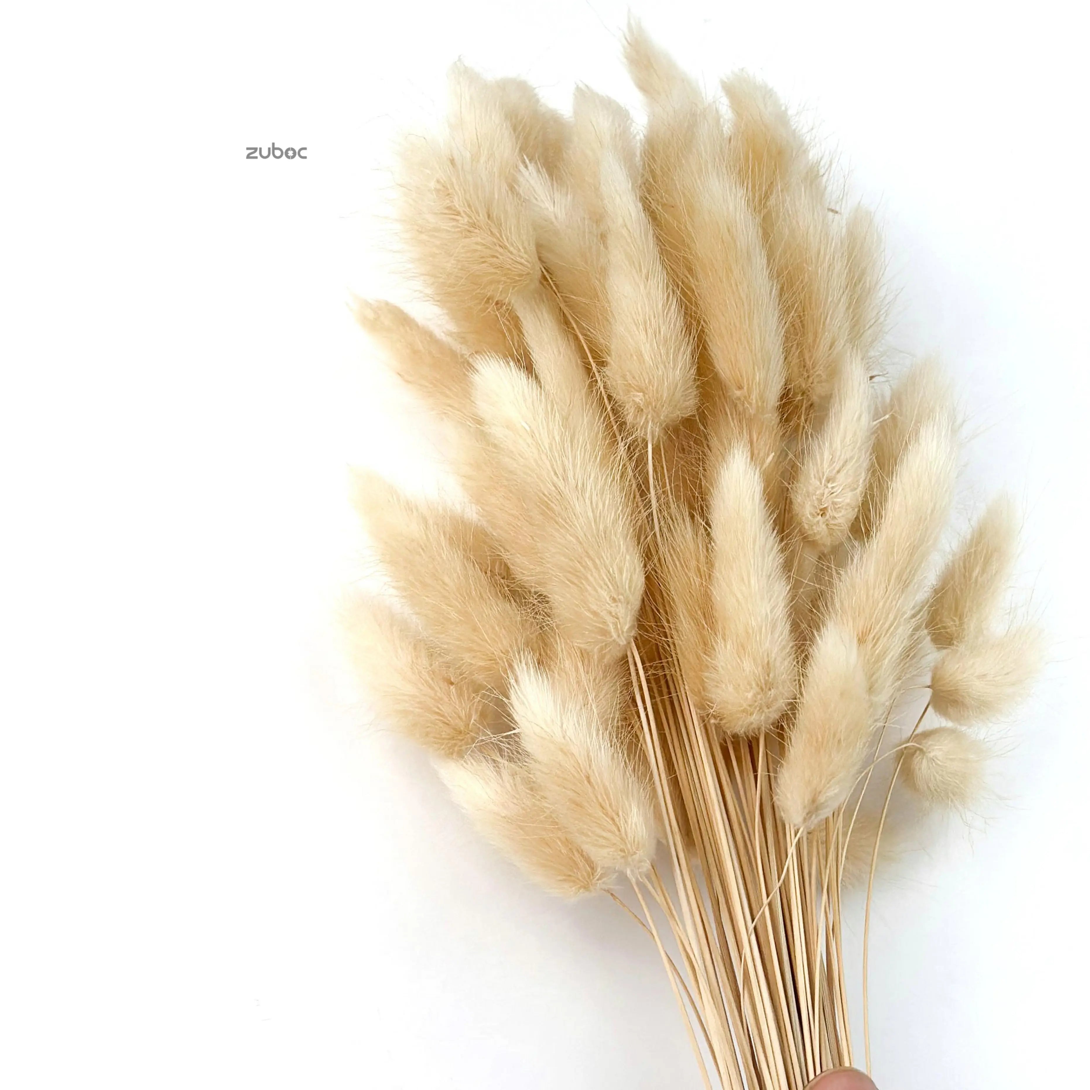 Mauve dry flower short for elegant gift wrapping