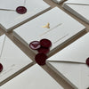 Corporate Envelope Suite - Double Foil Elegance