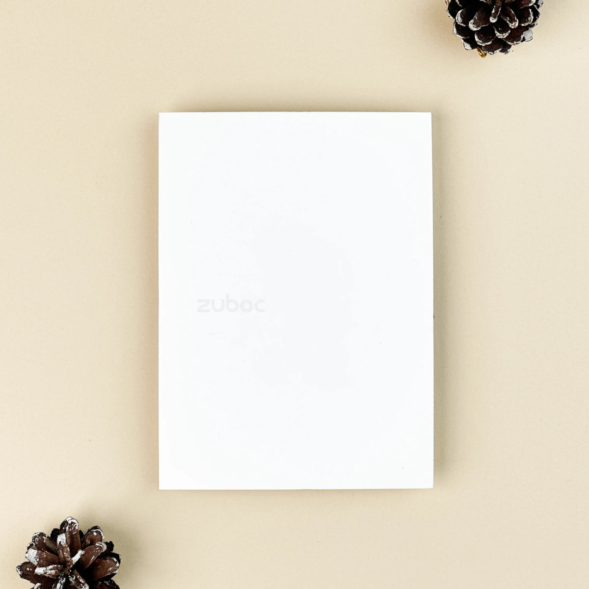 Plain Insert Card (Set of 5)
