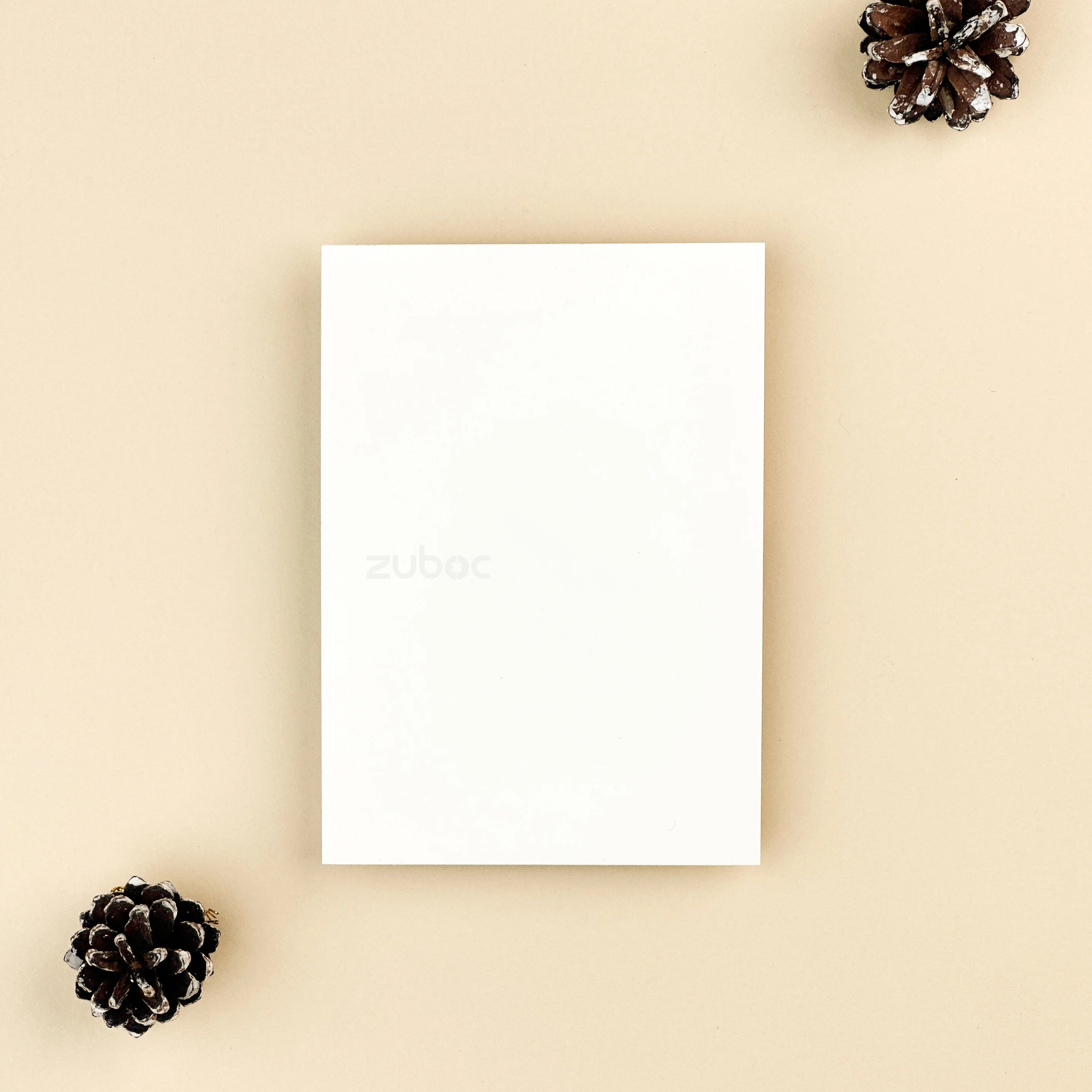 Plain Insert Card ( Set of 5)
