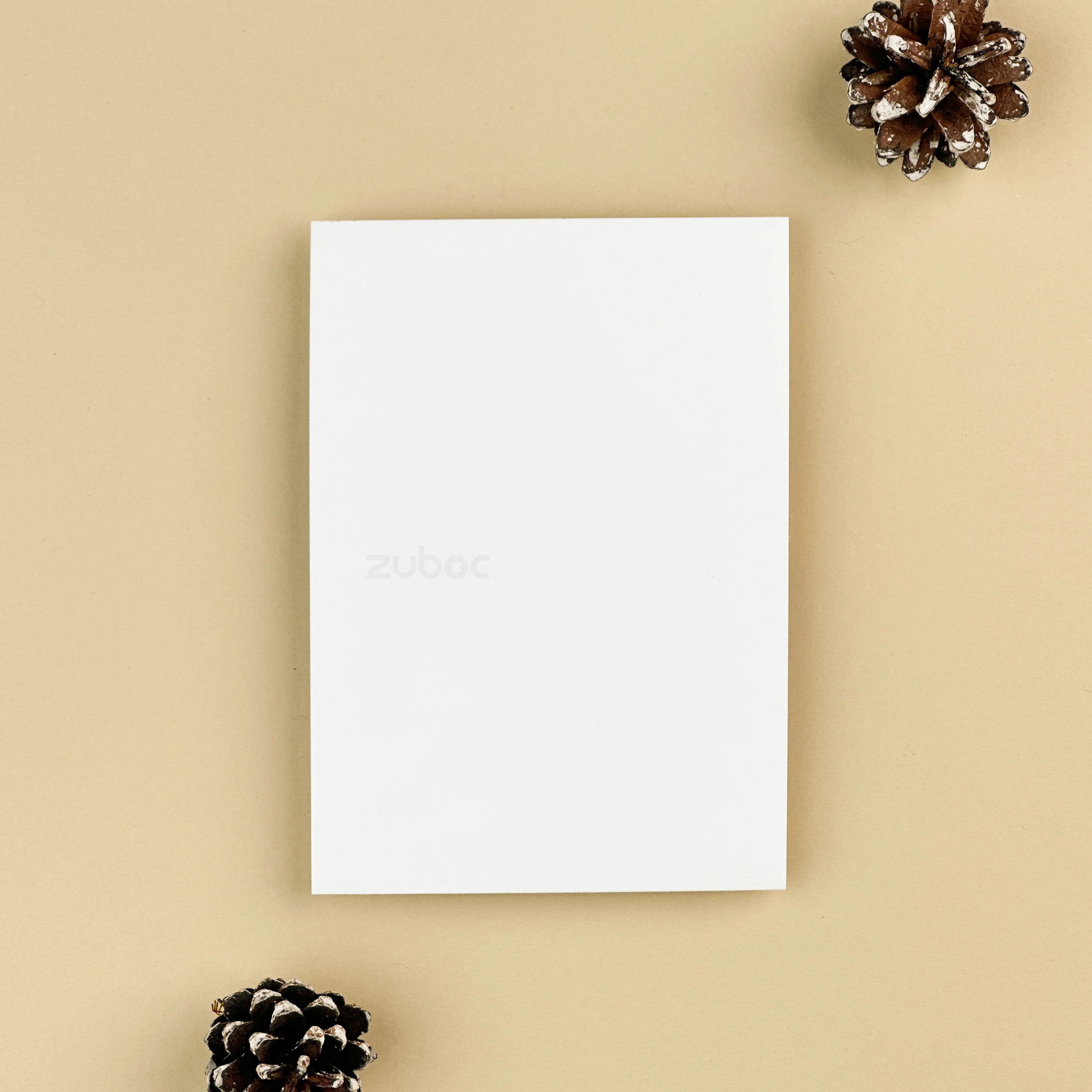 Plain Insert Card ( Set of 5)