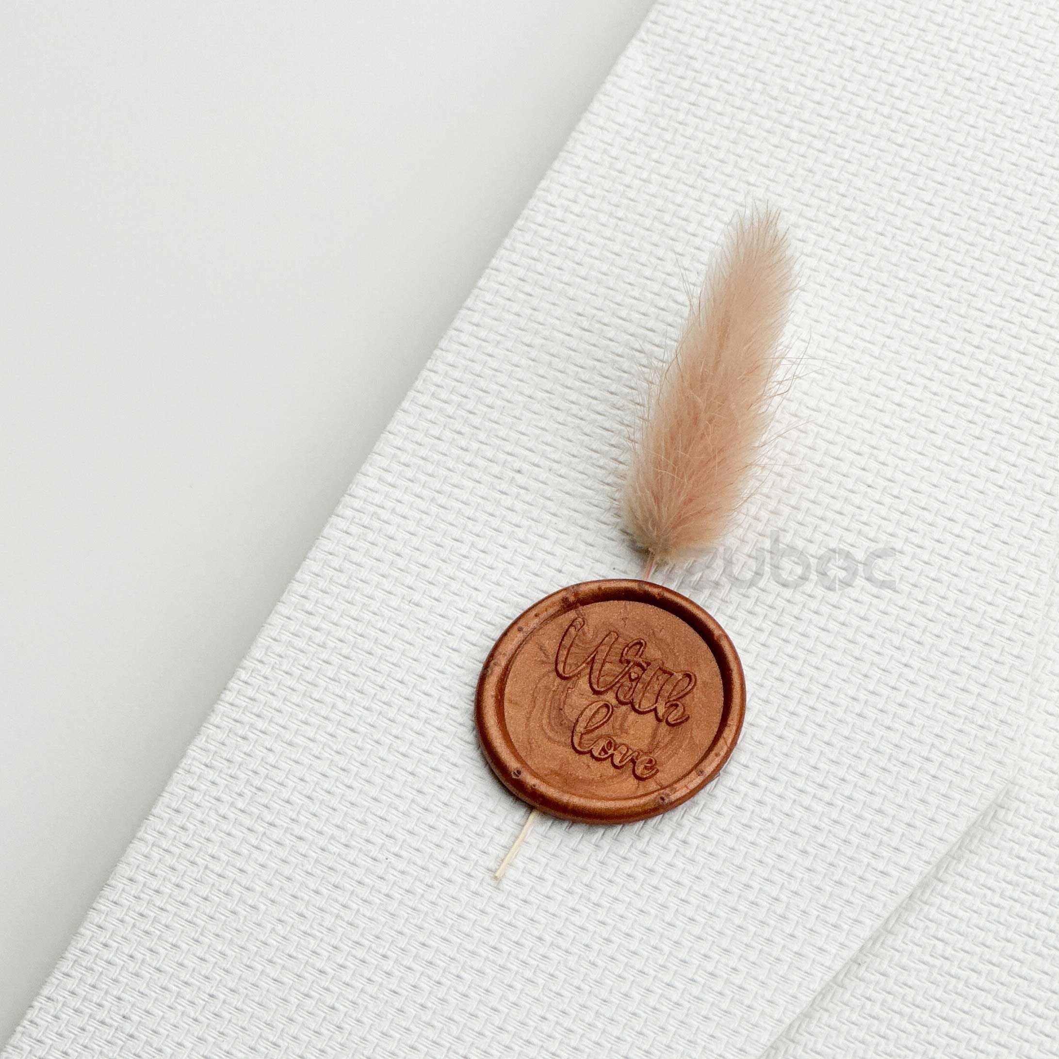 Bunny Tail Dry Flowers (Set of 5)