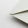 STD  Envelope (Set of 5)