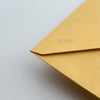 STD  Envelope (Set of 5)