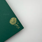 Top Pull Envelope With Foil (Set of 5)
