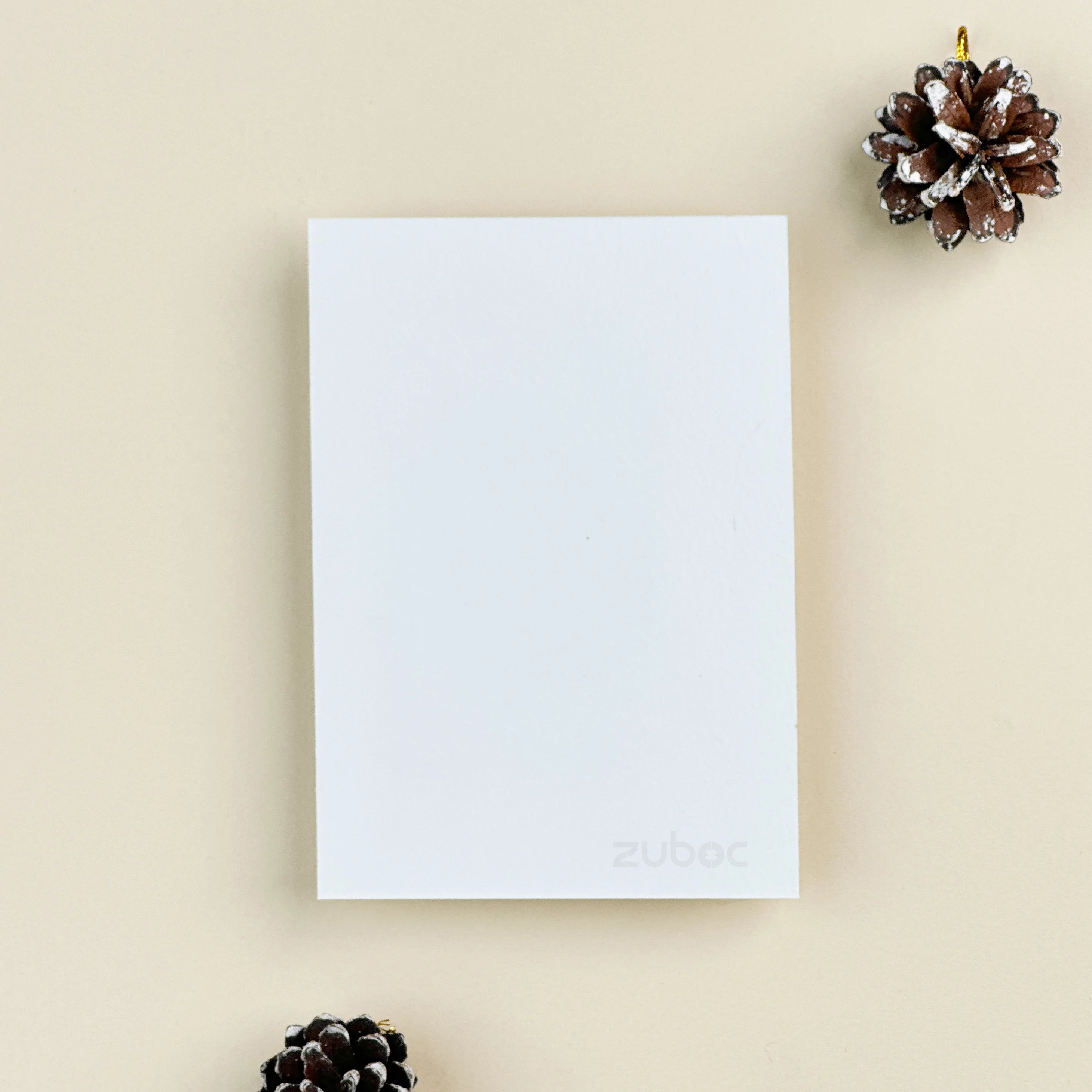 Plain Insert Card ( Set of 5)