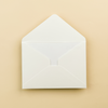 STD  Envelope (Set of 5)