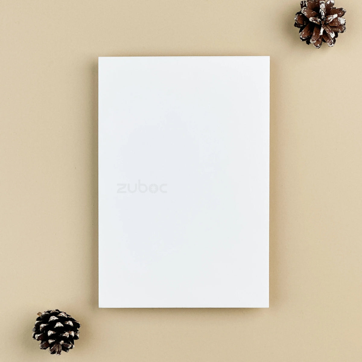 Plain Insert Card (Set of 5)