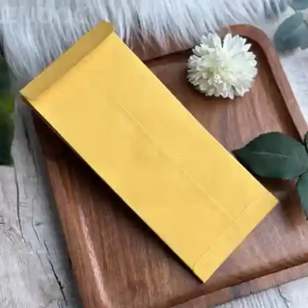 Customizable catalog envelope suited for gift card envelopes
